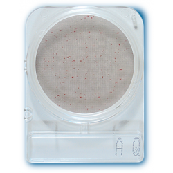 Compact Dry AQ - Placi Petri pentru Analiza Apei